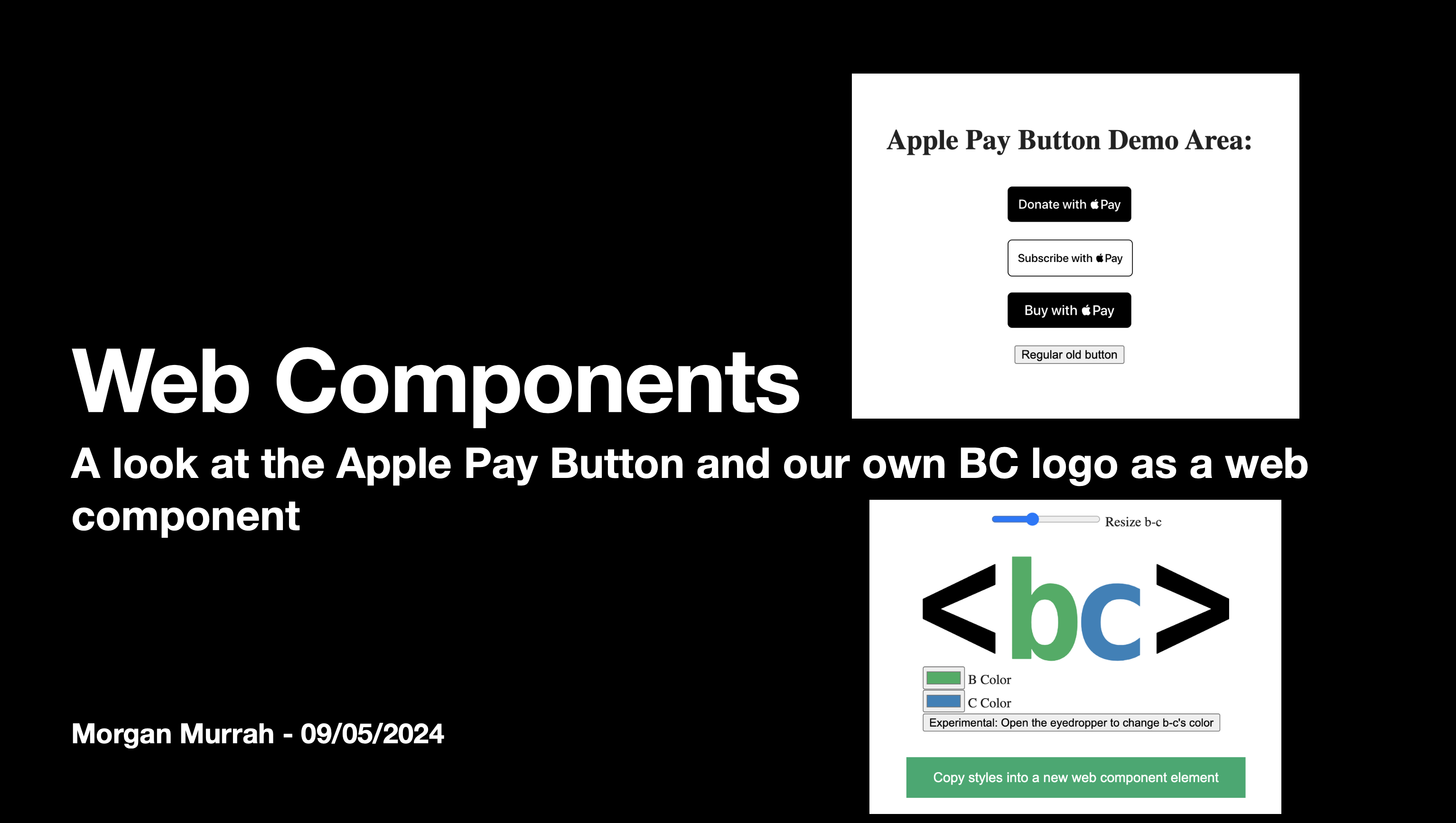 image from Web Technology: Web Components, a look at the Apple Pay Button example